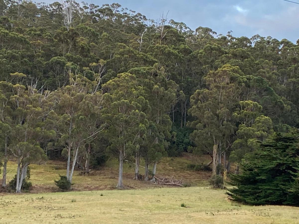 Aruma Cottage Bruny Island Alonnah Exterior photo